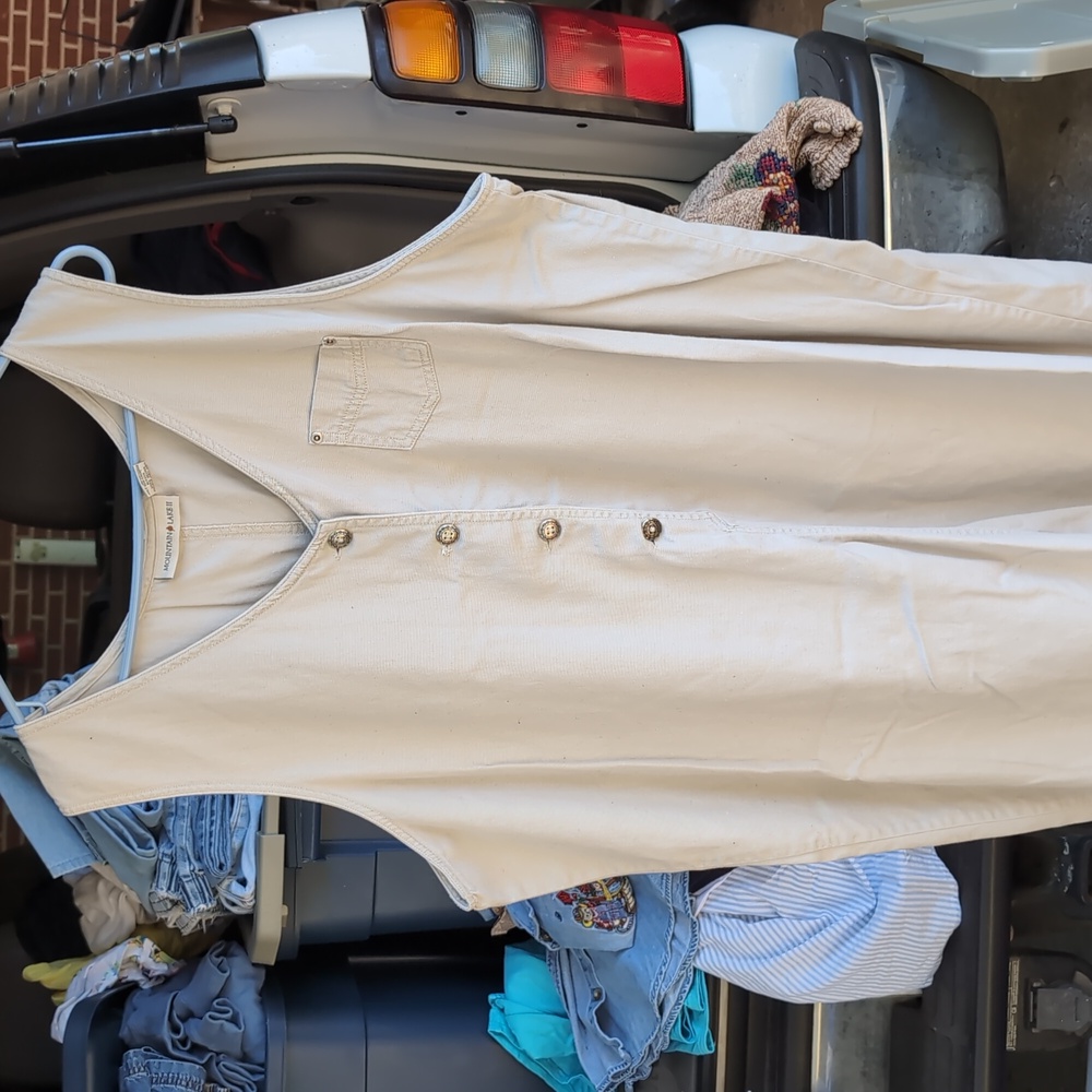 Mountain Lake Vintage Khaki Beige Sleeveless Button-Down Cotton 2x Dress